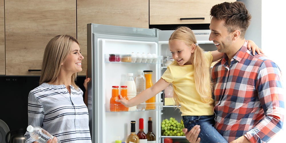Kühlschränke ohne Gefrierfach - Energiesparen